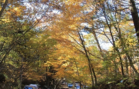 a0158702_15232710.jpg