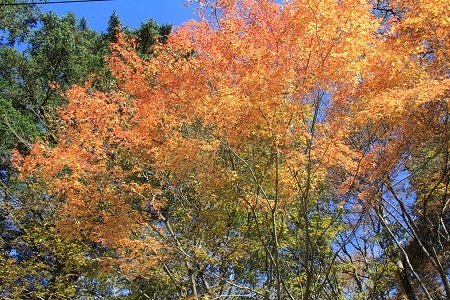a0158702_15235390.jpg