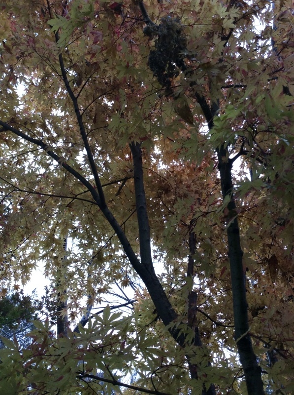 b0220002_23595187.jpeg