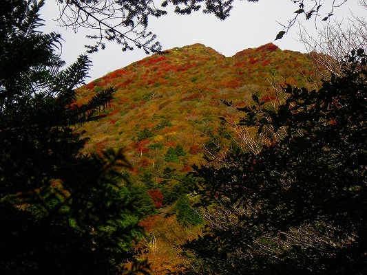 17-11：雲仙紅葉　　　_f0187402_20221276.jpg