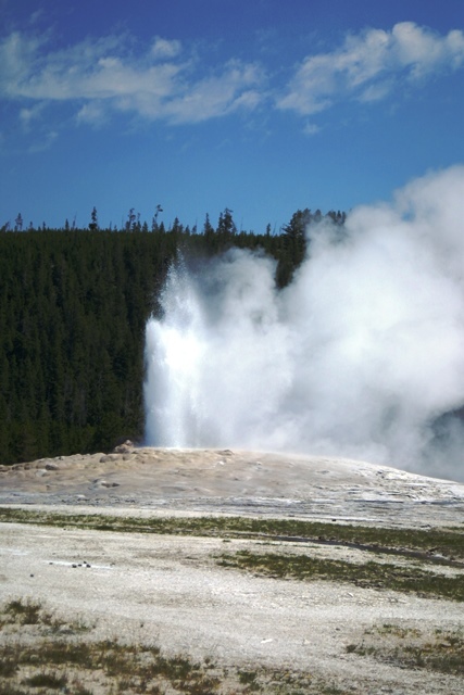 c0062603_13060338.jpg