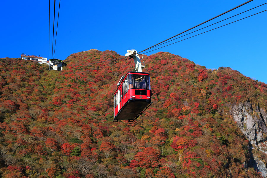 雲仙 仁田峠の紅葉 動画あり 九州ロマンチック街道