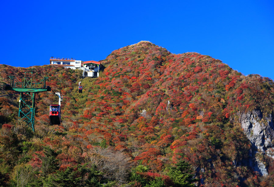 雲仙 仁田峠の紅葉 動画あり 九州ロマンチック街道