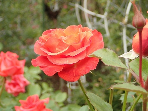 e0289203_09130666.jpg