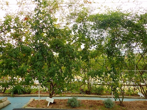 e0289203_09424759.jpg