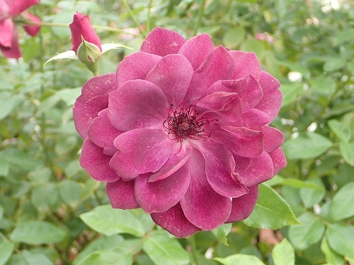 e0289203_09590251.jpg