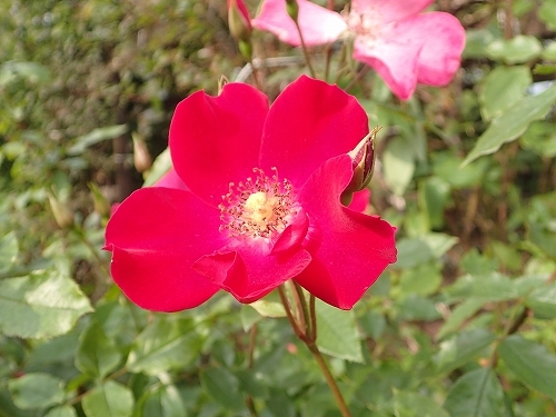 e0289203_09591891.jpg