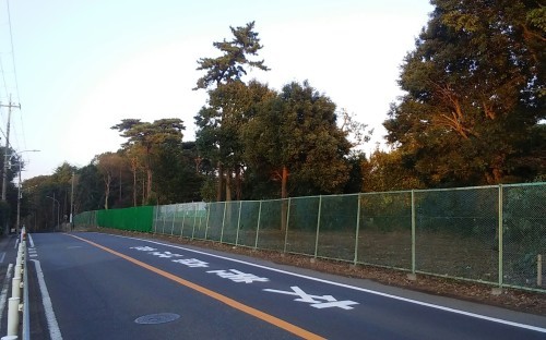 道路の拡幅_a0162505_08594302.jpg