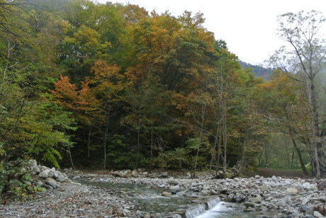 c0242406_15293134.jpg