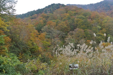 c0242406_15441487.jpg