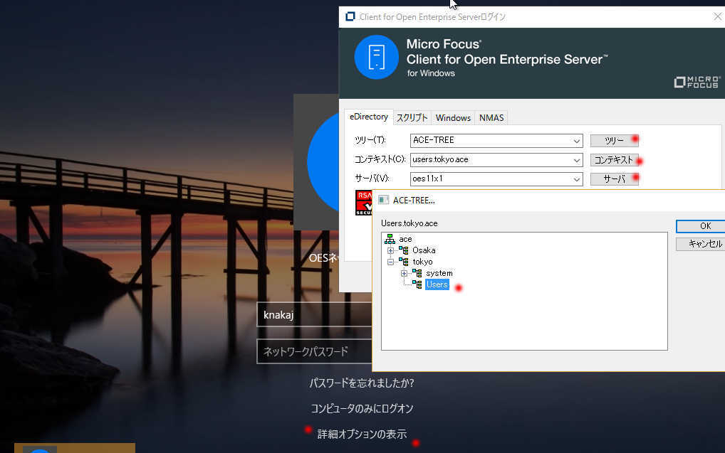 Microforcus Client for Open Enterprise Server 2 の Windows10 へのインストール_a0056607_20152969.jpg
