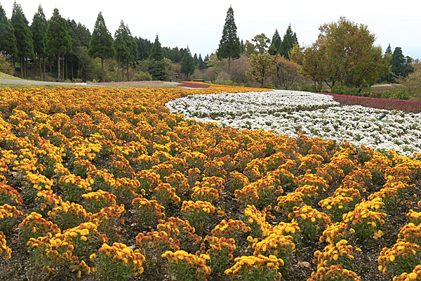 b0014607_08473859.jpg