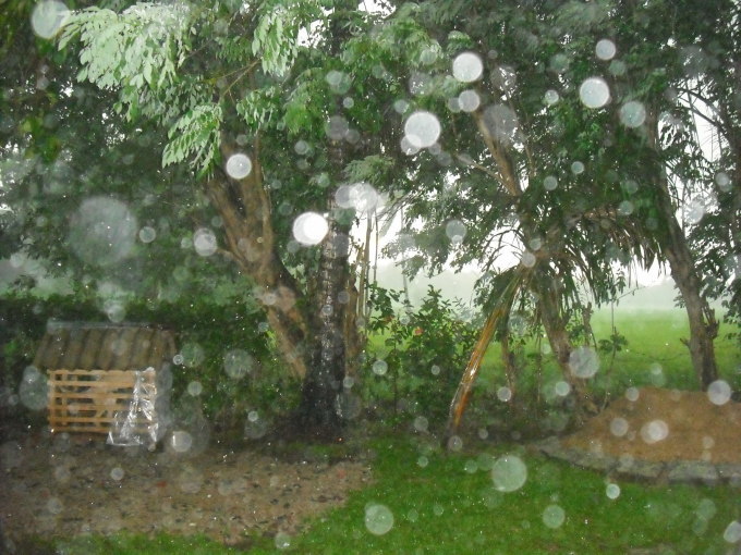 b0247609_11514257.jpg
