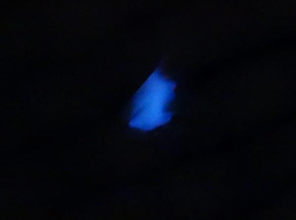 d0360509_21513379.jpg