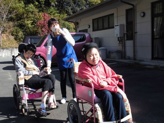 11/6 朝の散歩_a0154110_15264264.jpg