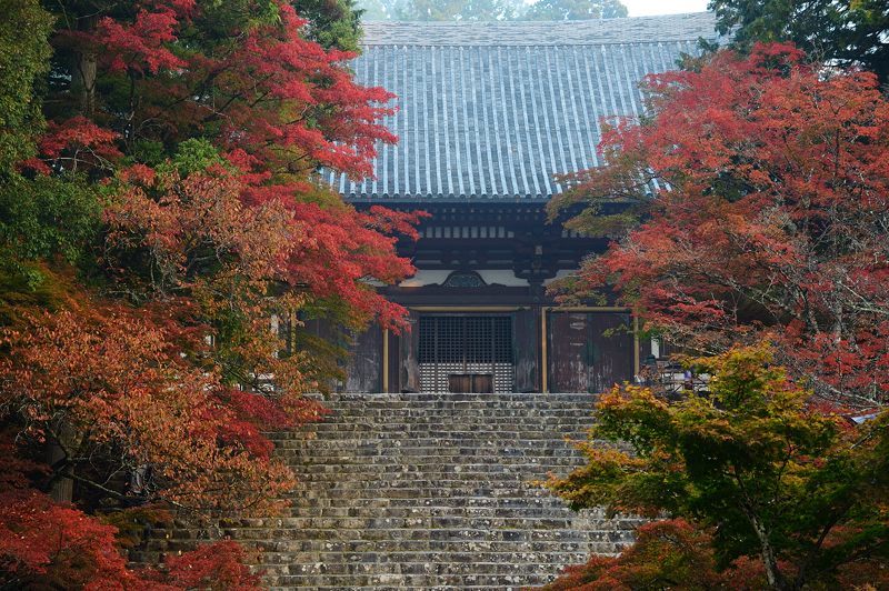 2017京都の紅葉･高雄　神護寺　其の二_f0032011_20233803.jpg