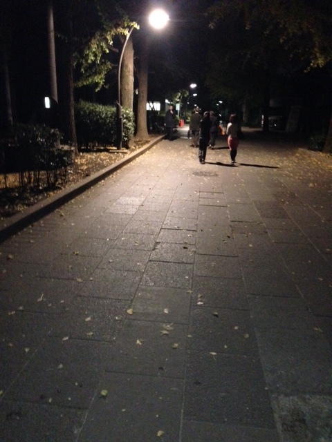 c0240112_11331624.jpg