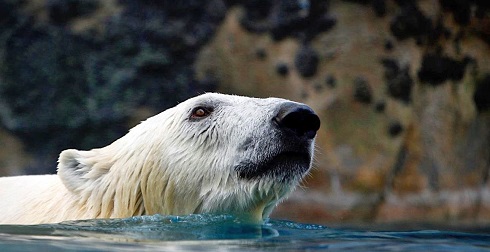 a0151913_14594687.jpg