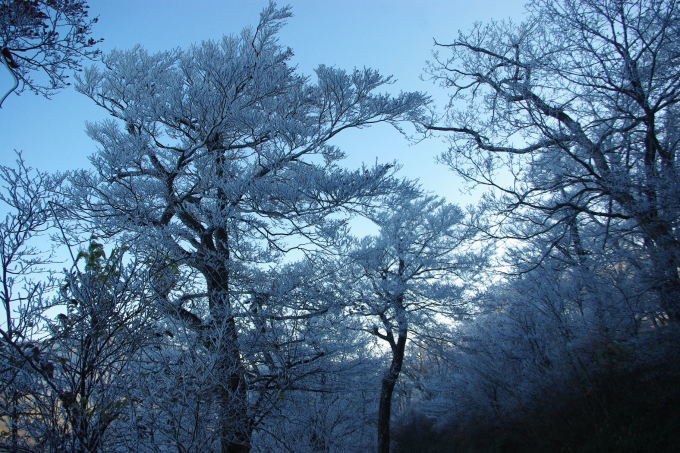 No 121 快晴の山歩き（瓶ヶ森登山口～男山・女山）2017年11月5日_d0341514_21234781.jpg