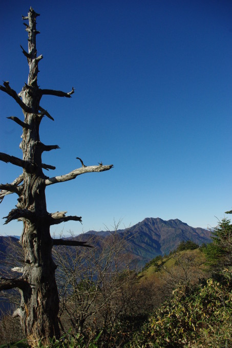 No 121 快晴の山歩き（瓶ヶ森登山口～男山・女山）2017年11月5日_d0341514_22060209.jpg