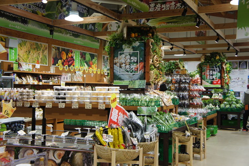 【秋の鴨川(千葉県)散歩】_f0215714_15225980.jpg