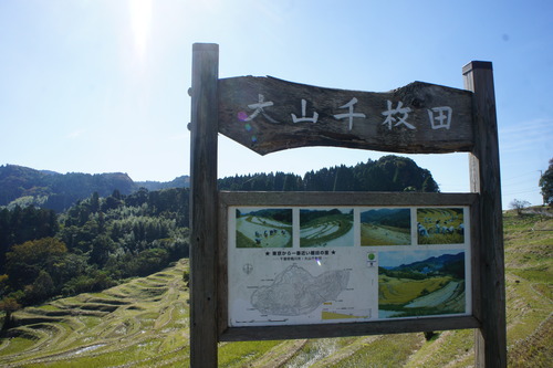 【秋の鴨川(千葉県)散歩】_f0215714_15232811.jpg