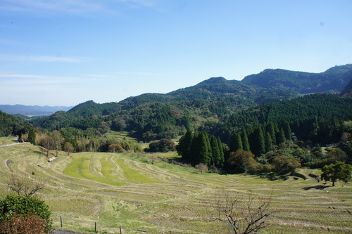 【秋の鴨川(千葉県)散歩】_f0215714_15242174.jpg