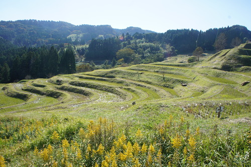 【秋の鴨川(千葉県)散歩】_f0215714_15245591.jpg