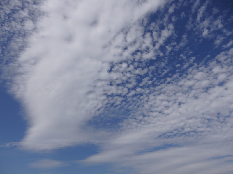 b0289815_08272674.jpg