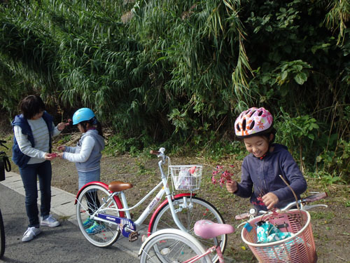 姫島をサイクリングで一周_f0208315_13493645.jpg