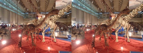ギガ恐竜展2017～  竜脚類_b0355317_22023604.jpg
