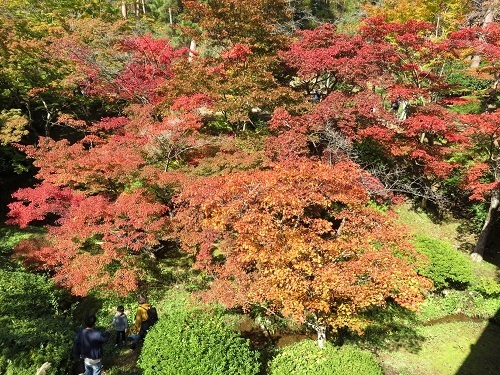 紅葉狩り日和 ②_c0084117_20362443.jpg