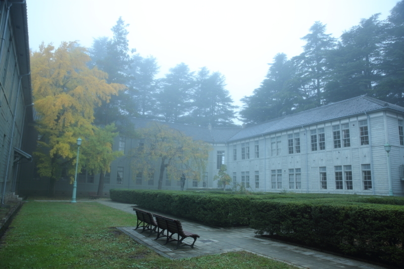 d0349418_22194881.jpg