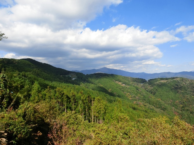 d0221319_20442591.jpg
