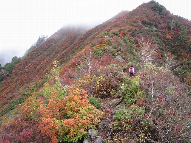 上信越　秘境の秋山郷から登る鳥甲山は紅葉真っ盛り　　　　　Mount Kabuto in Jōshin\'etsu-kōgen National Park_f0308721_13501337.jpg