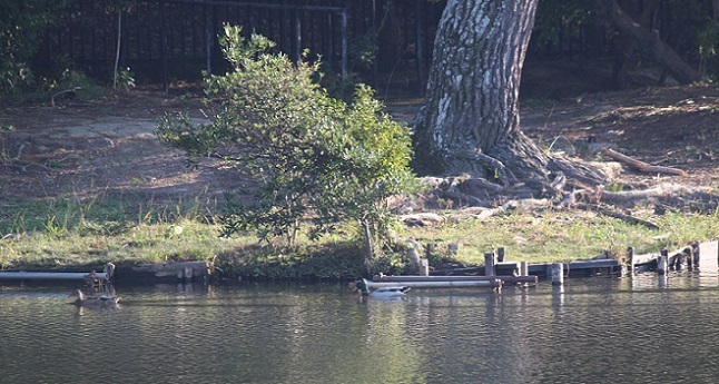 c0280322_21555655.jpg