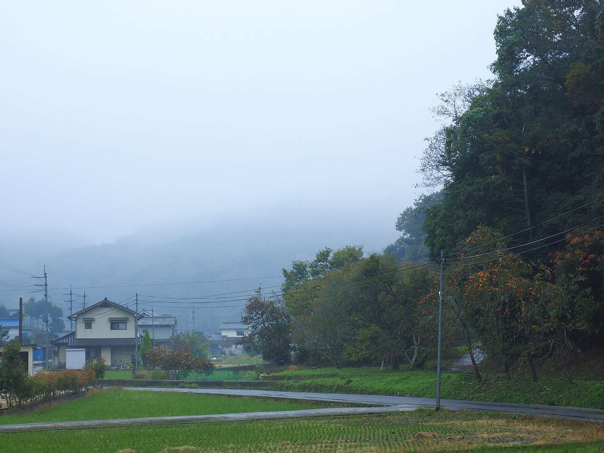 2017年11月08日・・・雨の朝_f0070823_15241764.jpg