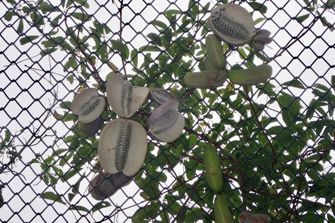 d0247927_21042283.jpeg