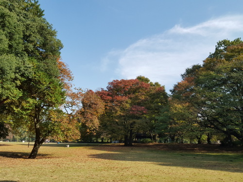 とても幸せから少し幸せになった昨日のこと_e0016828_09515293.jpg