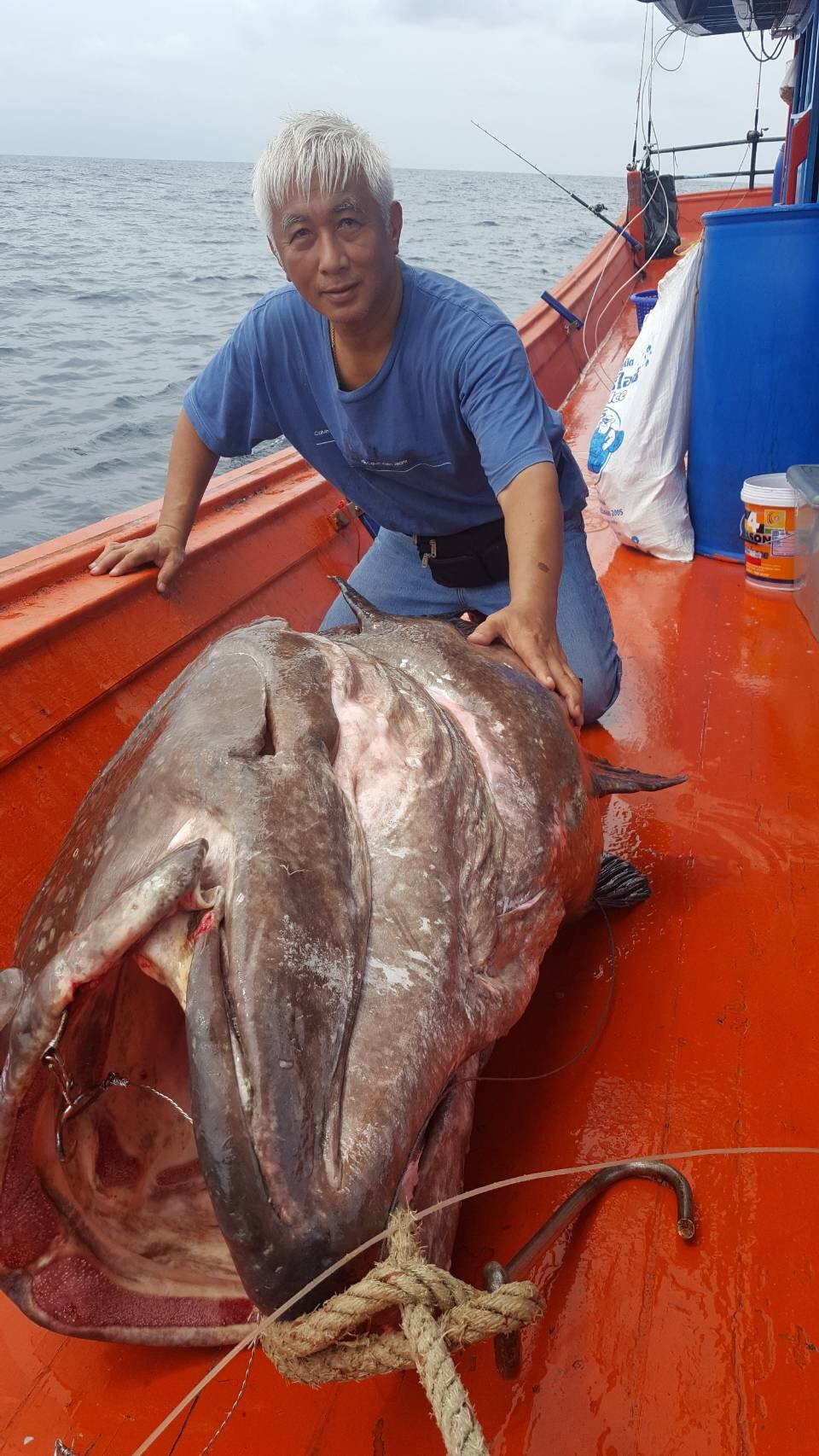 タイランド　釣り　サトゥーン　行けば良かった_a0083429_16310568.jpg