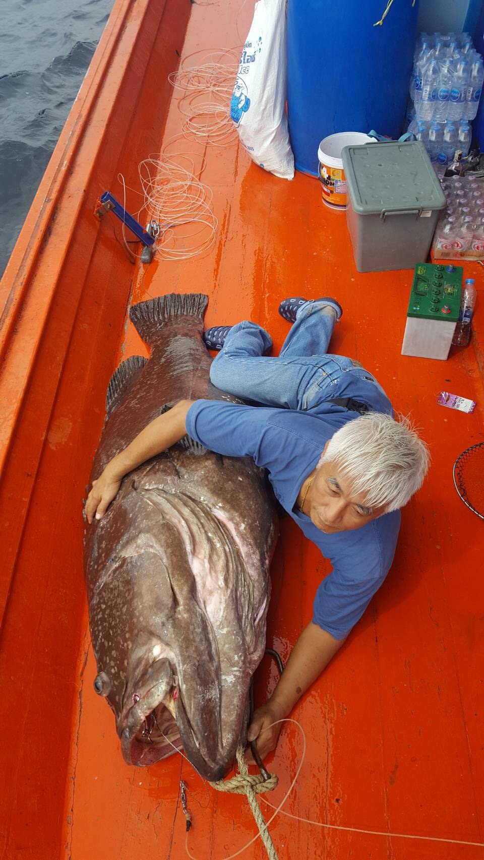 タイランド　釣り　サトゥーン　行けば良かった_a0083429_16311683.jpg