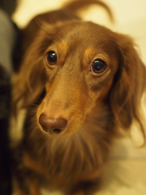 c0117831_17033734.jpg