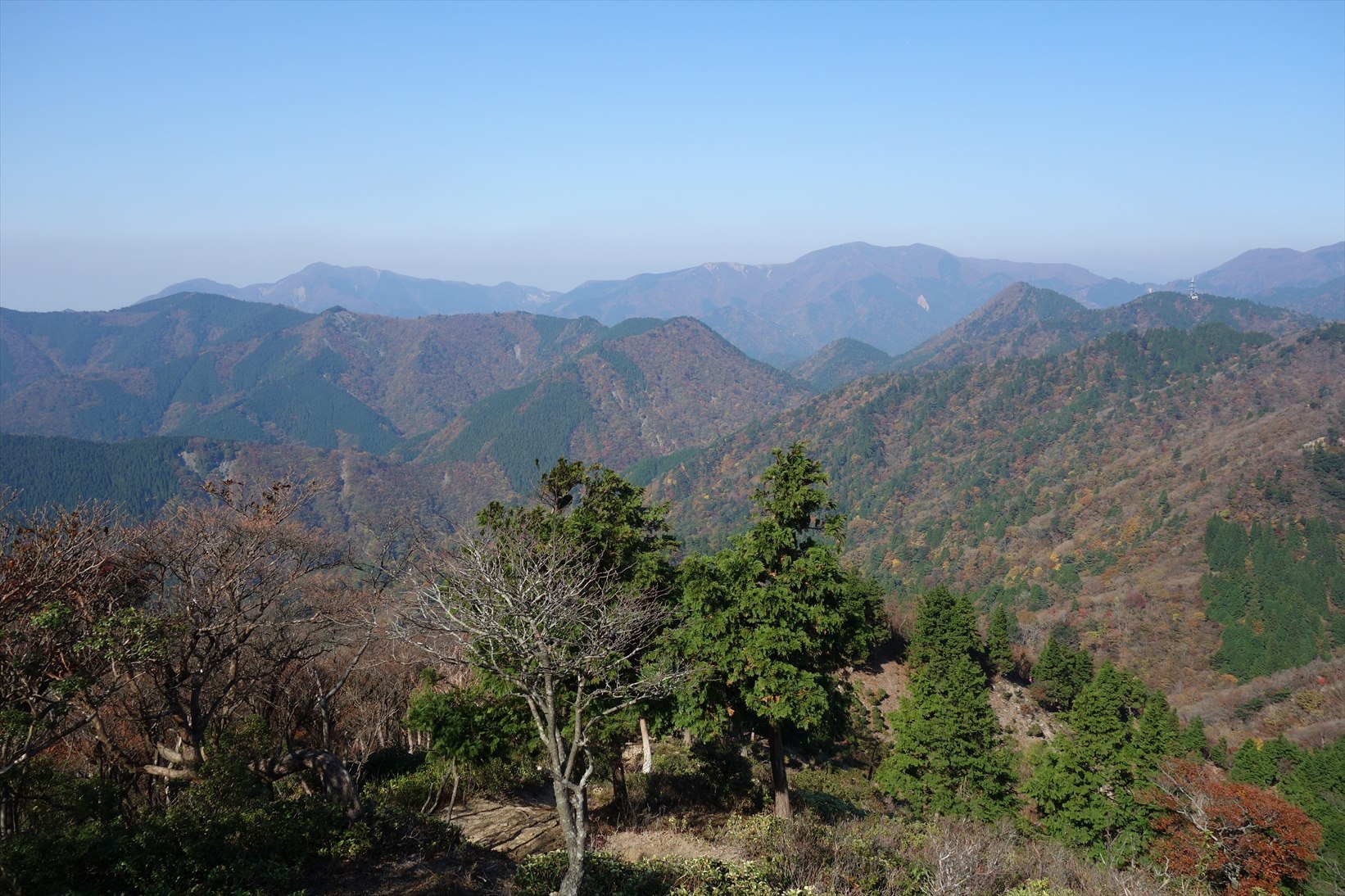 △　秀麗な双耳峰　仙ヶ岳　△_f0348933_20080429.jpg