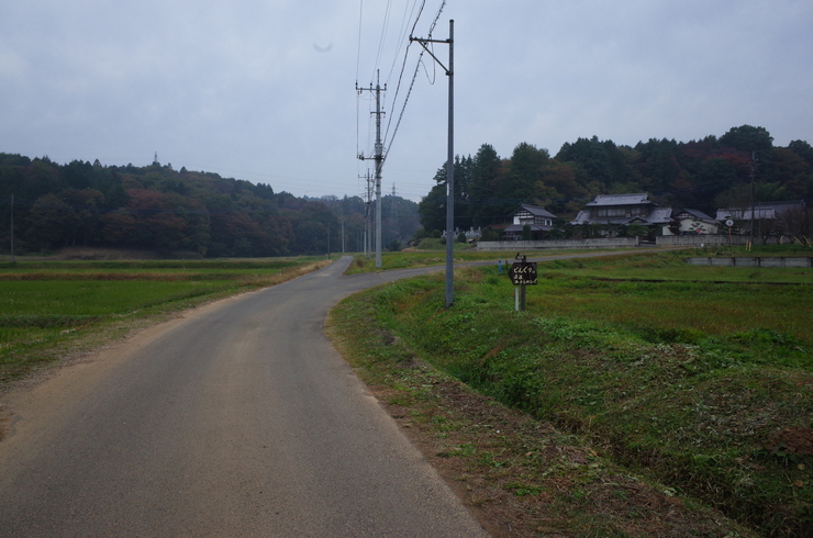 a0287336_23334514.jpg