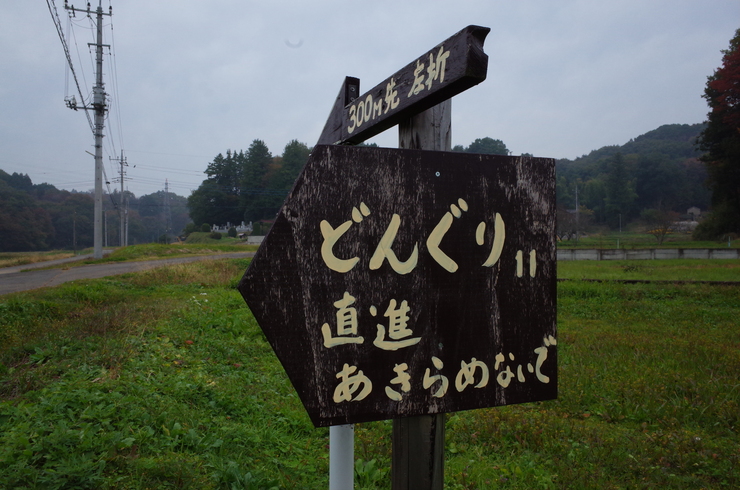a0287336_23413822.jpg