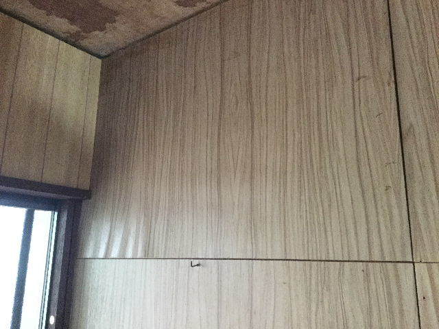 f0031037_19543046.jpg