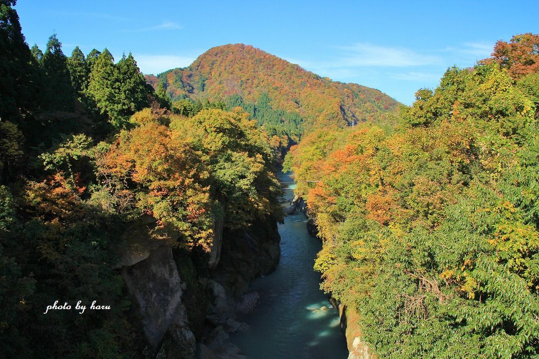 f0297537_10364063.jpg