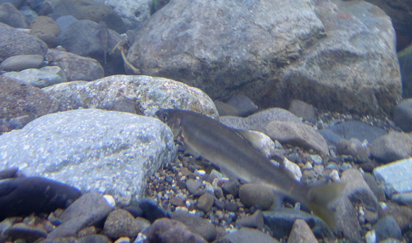 a0056140_15024216.jpg