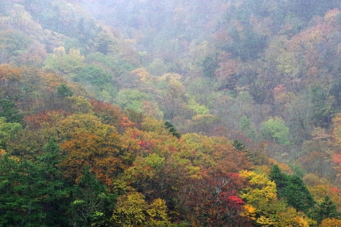 c0281841_12253334.jpg