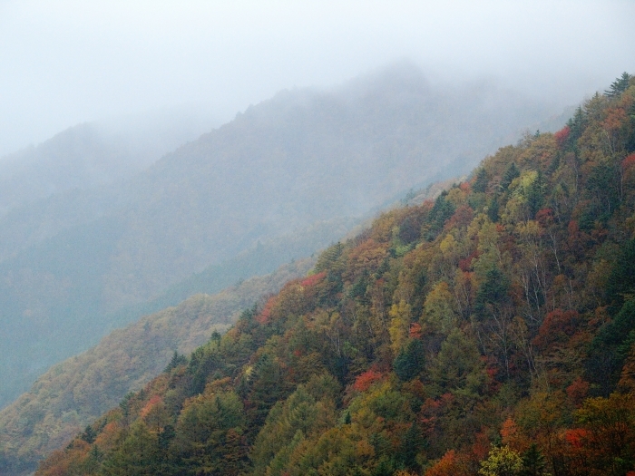 c0281841_12263481.jpg